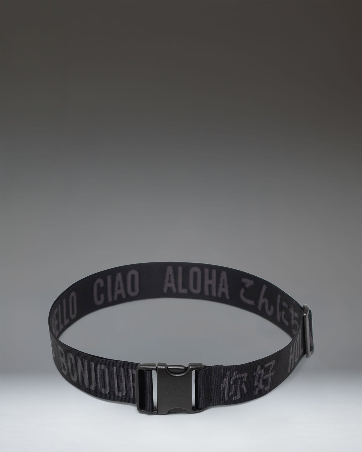 Luggage Belt T4