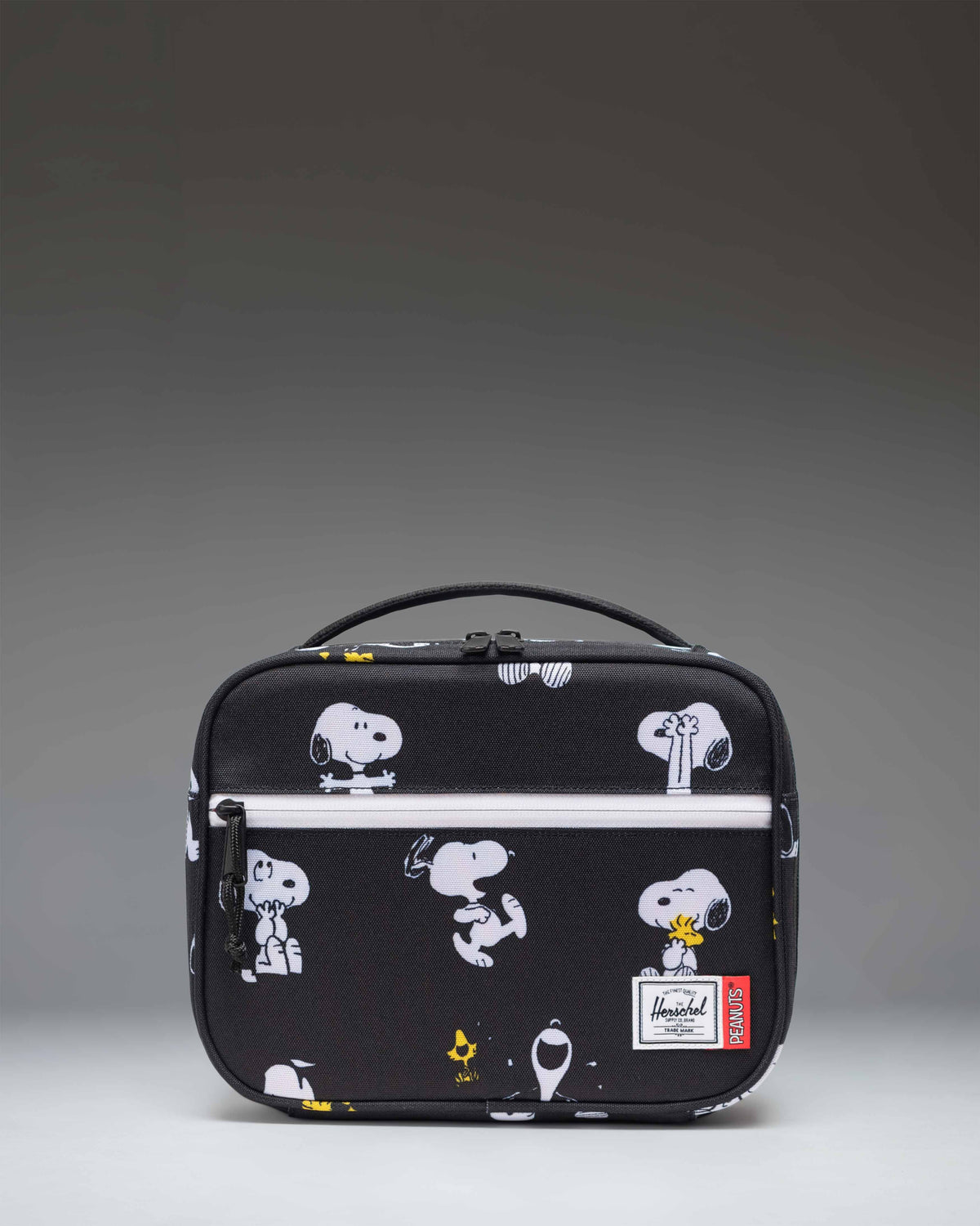 Pop Quiz Lunch Box C4